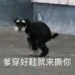 微信明白恶搞斗图表情包