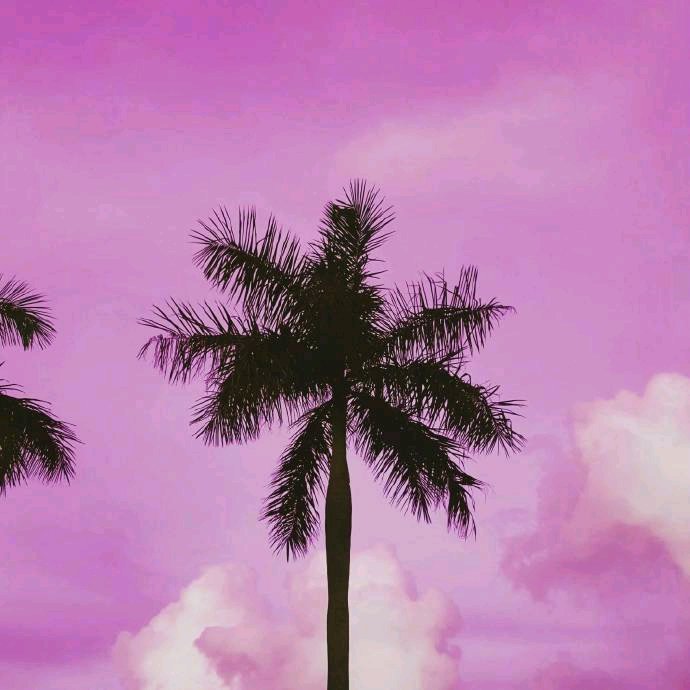 文艺孤独朋友圈配图