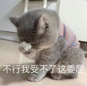 要你管微信恶搞斗图表情包