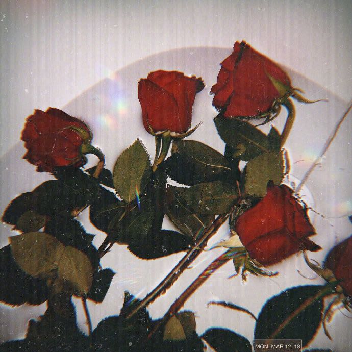 文艺孤独朋友圈配图