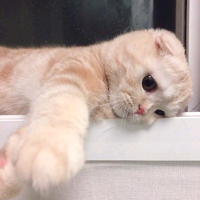 文艺孤独朋友圈配图