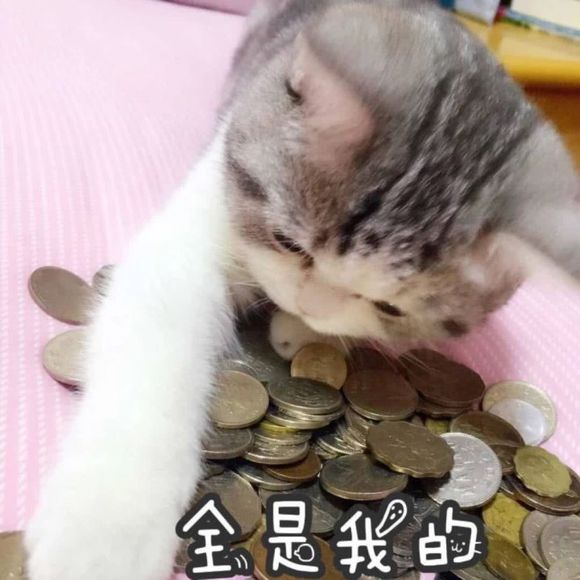 要你管微信恶搞斗图表情包