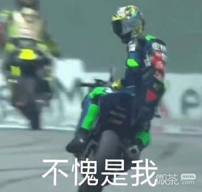 每日一份的微信爆笑沙雕表情包下载