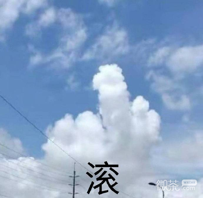 每日一份的微信爆笑沙雕表情包下载