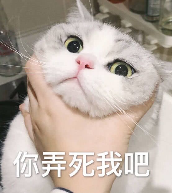 要你管微信恶搞斗图表情包