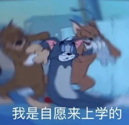 每日一份的微信爆笑沙雕表情包下载