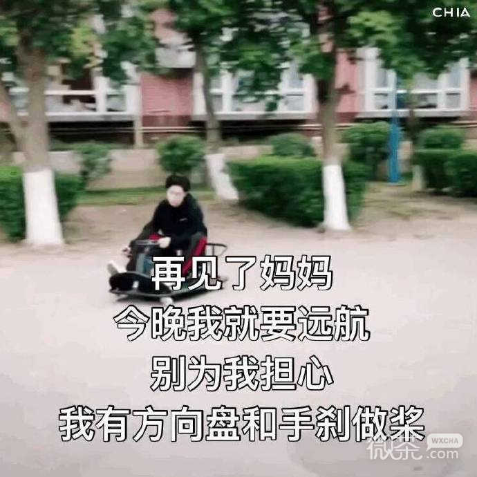 每日一份的微信爆笑沙雕表情包下载