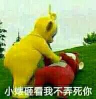 要你管微信恶搞斗图表情包