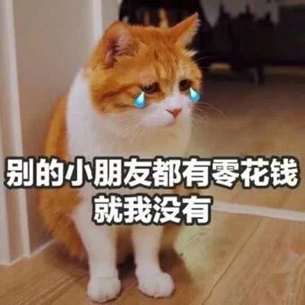 要你管微信恶搞斗图表情包