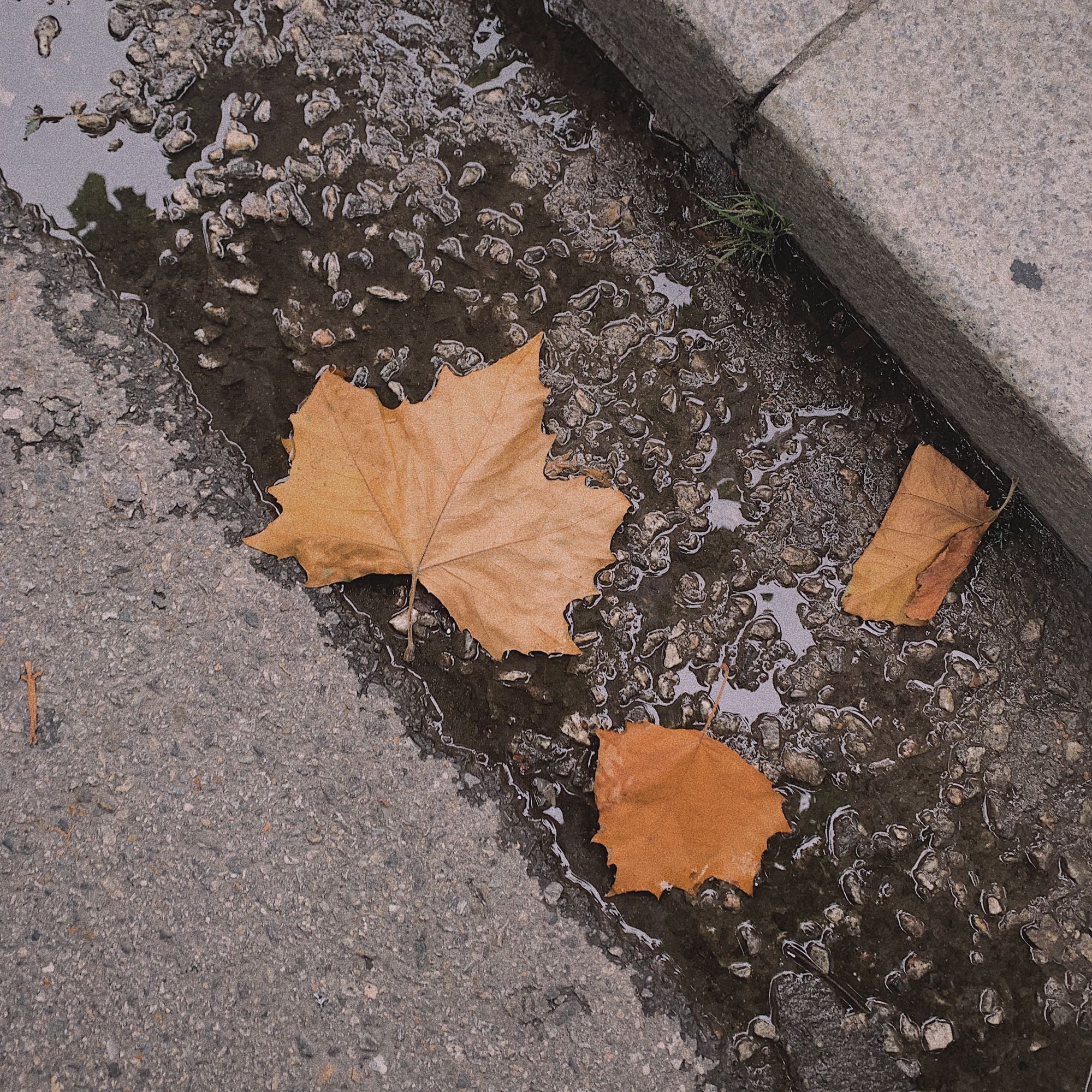 唯美风景朋友圈配图