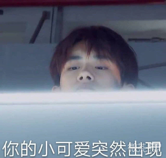 每日一份的微信爆笑沙雕表情包下载