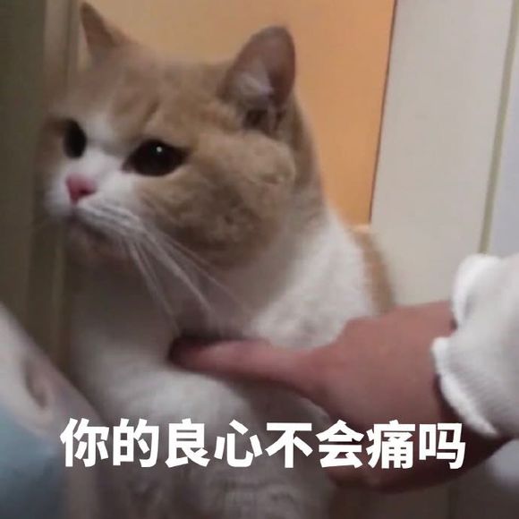 要你管微信恶搞斗图表情包