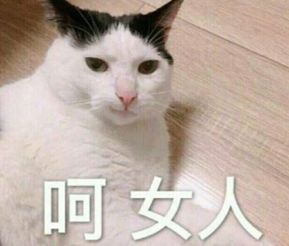 要你管微信恶搞斗图表情包