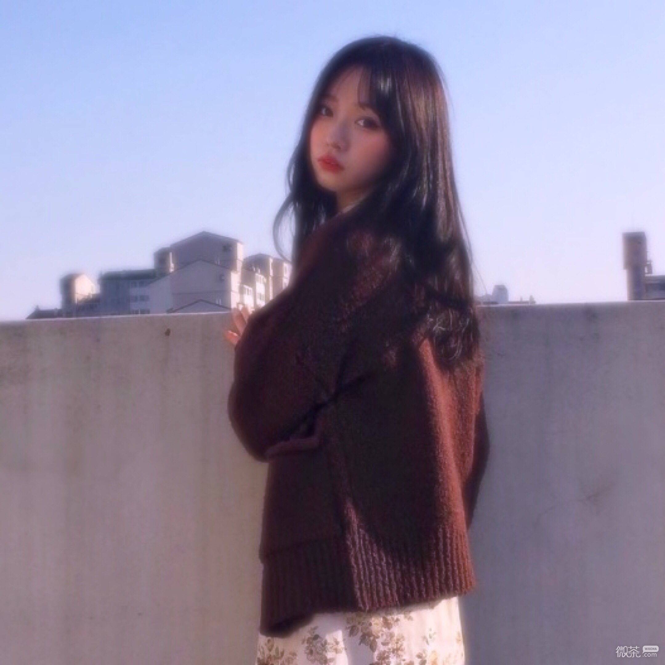 微信清新唯美时尚女头