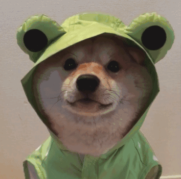 要你管微信恶搞斗图表情包