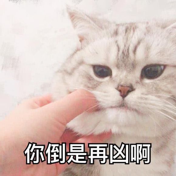 要你管微信恶搞斗图表情包