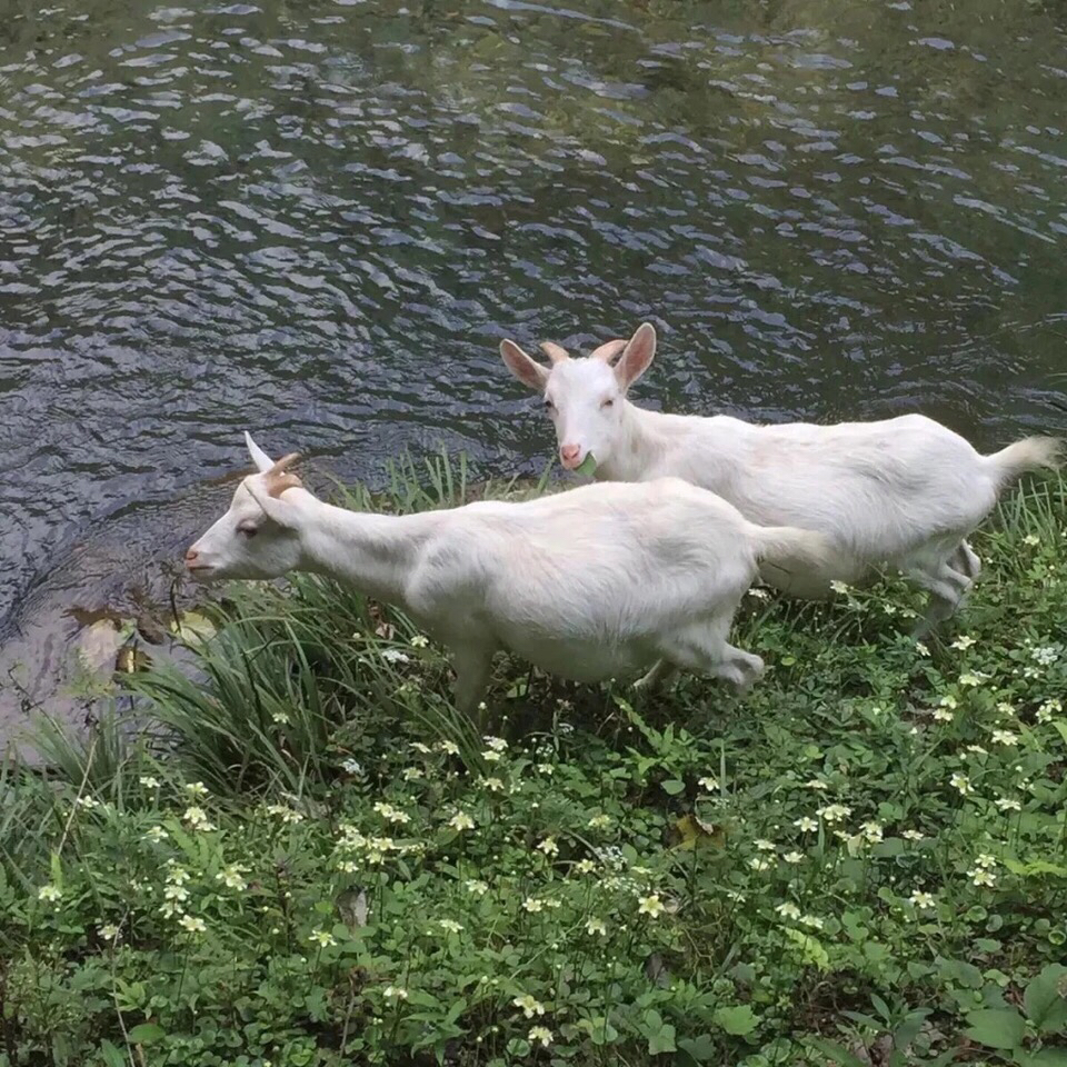 文艺孤独朋友圈配图