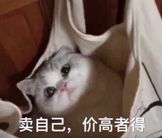 要你管微信恶搞斗图表情包