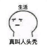 微信傻屌熊猫头斗图群聊表情包