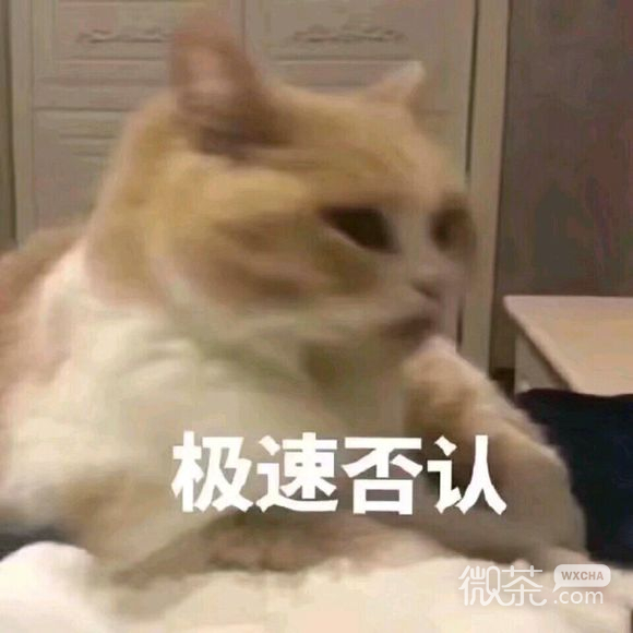 微信近期斗图恶搞表情包2019/8/15（二）