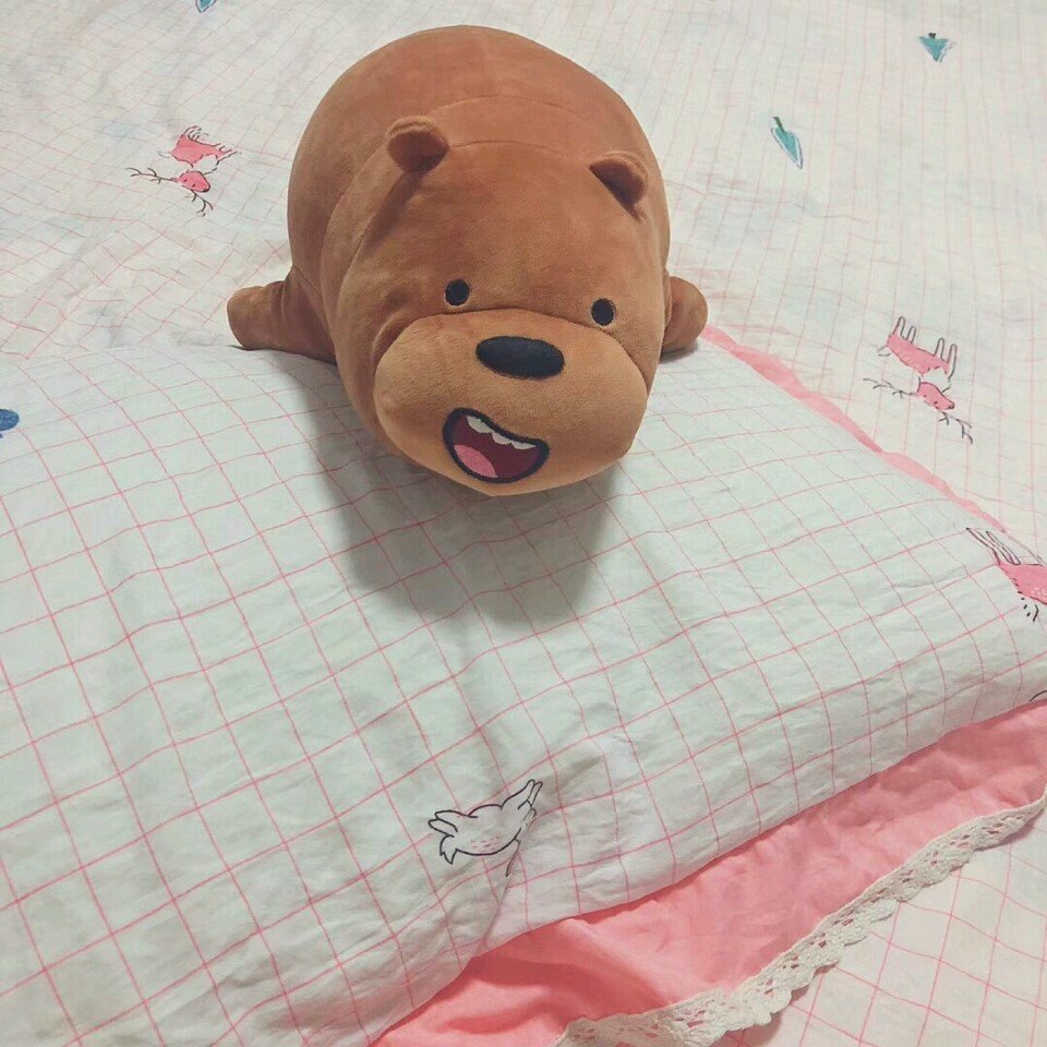 简洁清新风景静物微信朋友圈配图