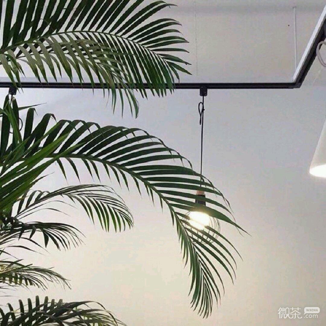 一切都是最好的安排微信恶搞斗图表情包