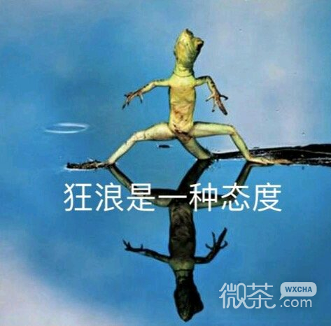 微信近期斗图恶搞表情包2019/8/15（二）