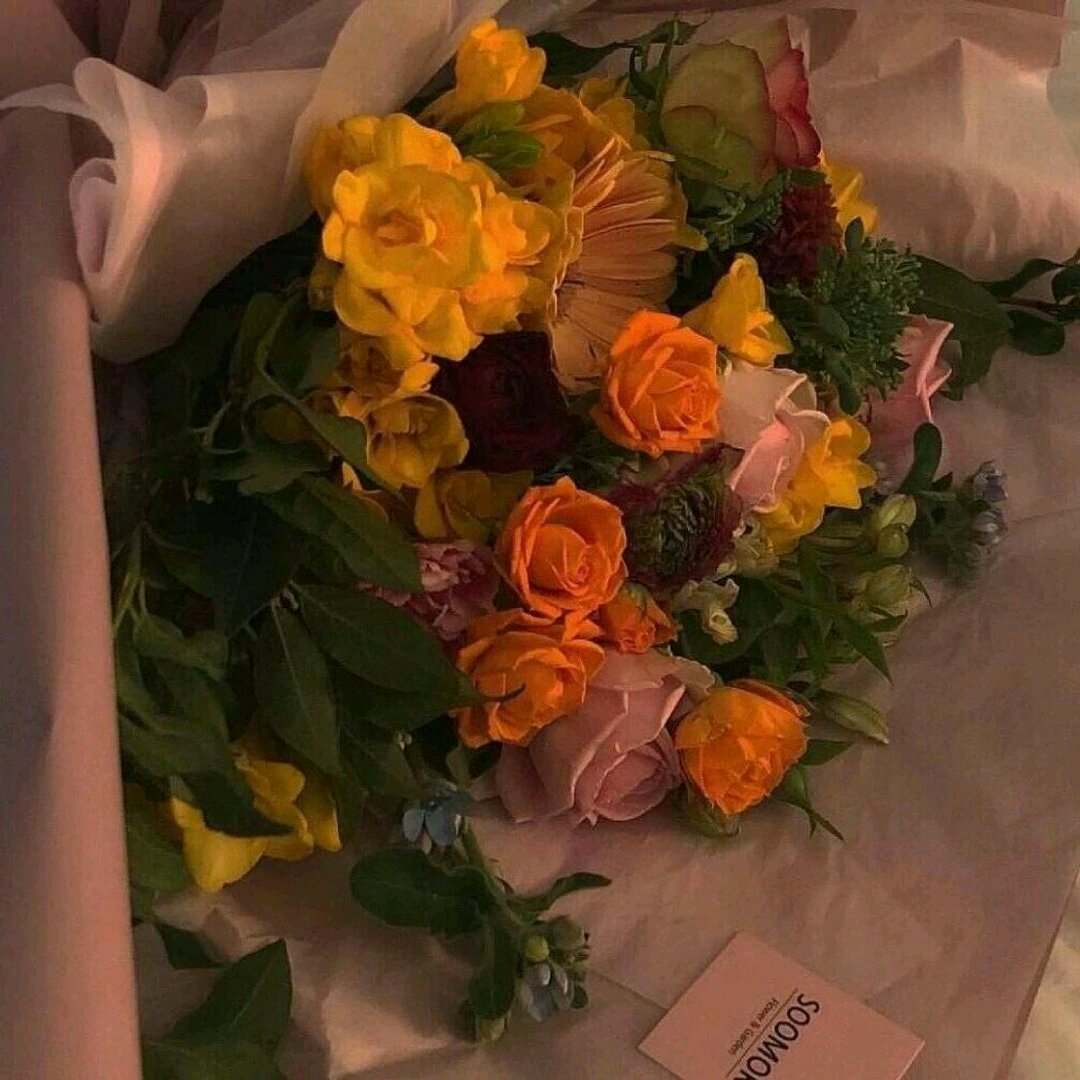 简洁清新风景静物微信朋友圈配图