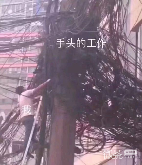 微信近期斗图恶搞表情包2019/8/15（二）