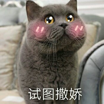 微信近期斗图恶搞表情包2019/8/15（二）