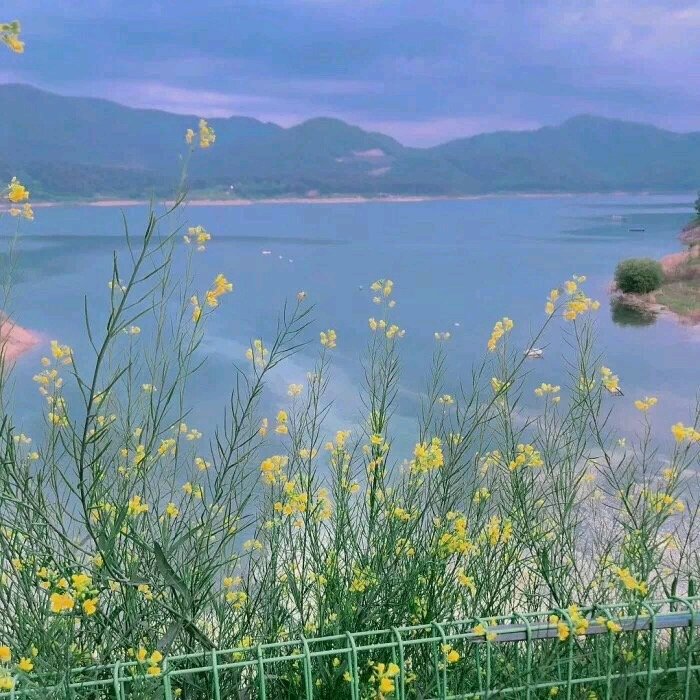 微信唯美梦幻风景静物朋友圈配图