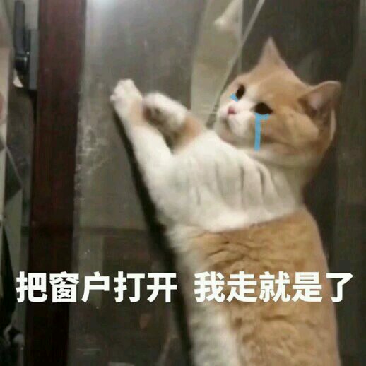 好的微信恶搞群聊杂图表情包