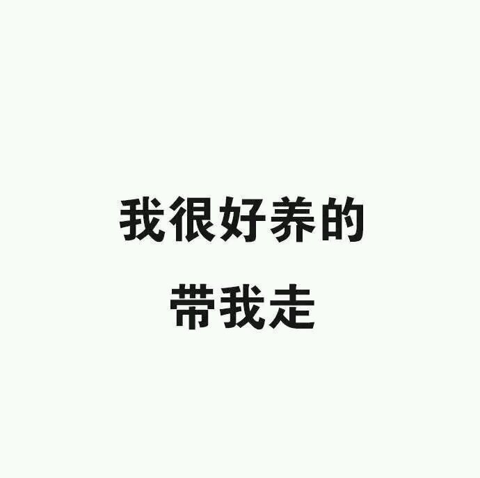 简洁清新风景静物微信朋友圈配图