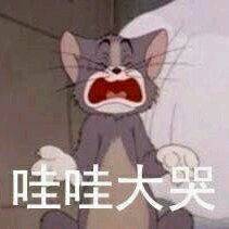 微信近期斗图恶搞表情包2019/8/15（二）