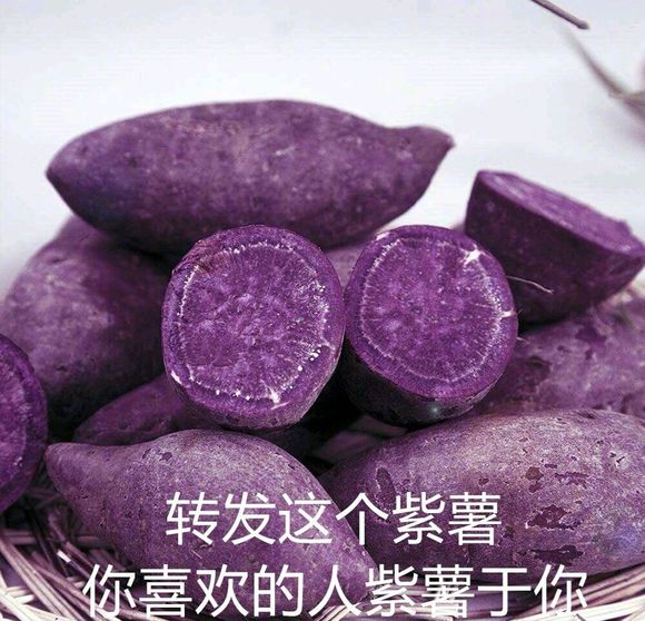 微信近期斗图恶搞表情包2019/8/15（二）