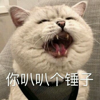 嚣张恶搞斗图微信表情包