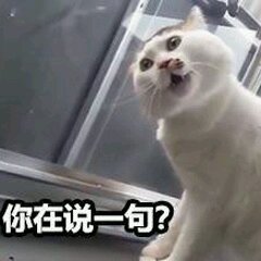 微信近期斗图恶搞表情包2019/8/15（二）