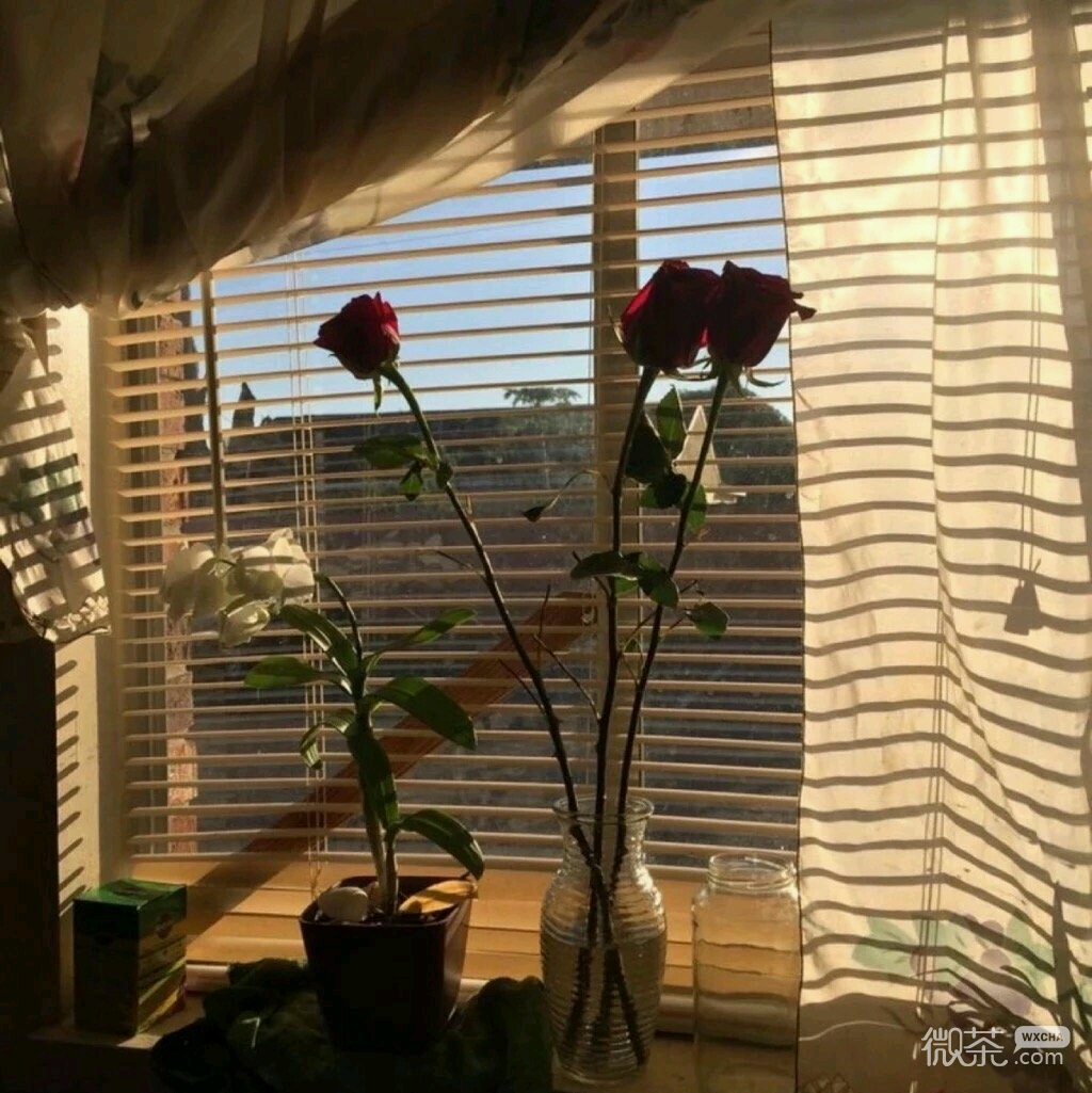 微信唯美梦幻孤独朋友圈配图