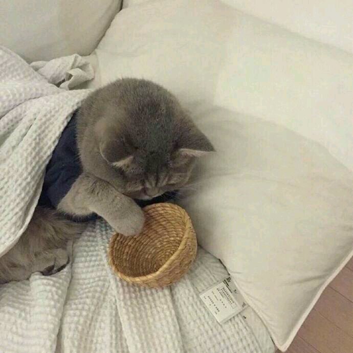 简洁清新风景静物微信朋友圈配图