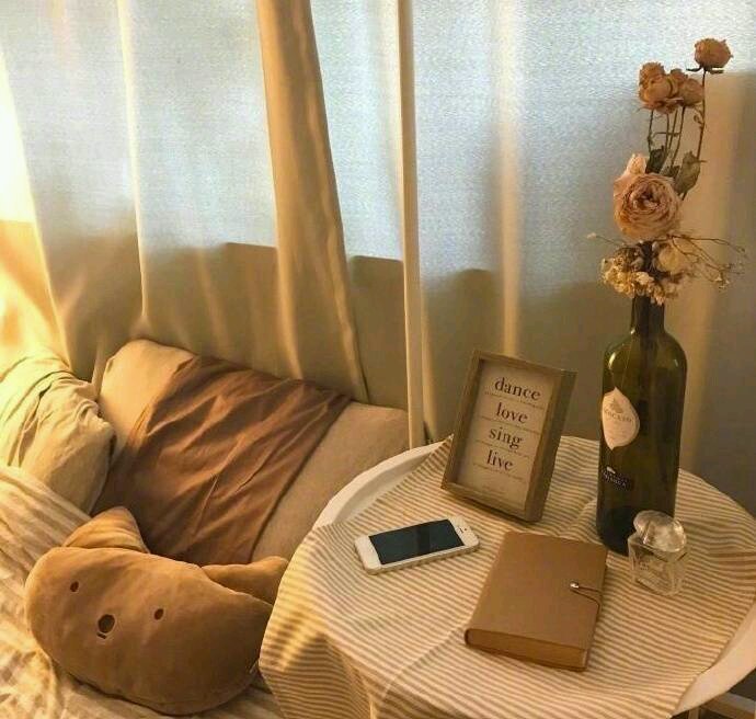 简洁清新风景静物微信朋友圈配图