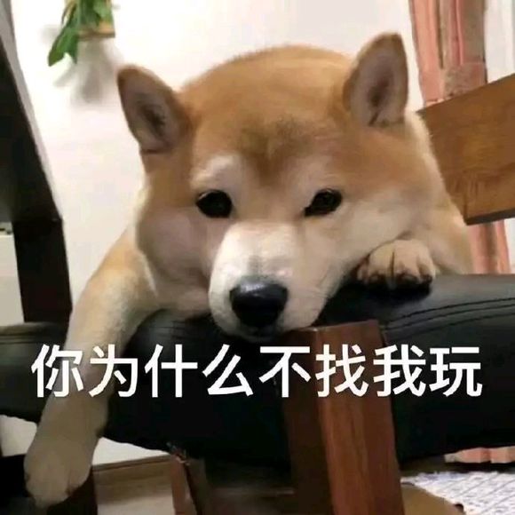 暗中观察恶搞群聊杂图表情包