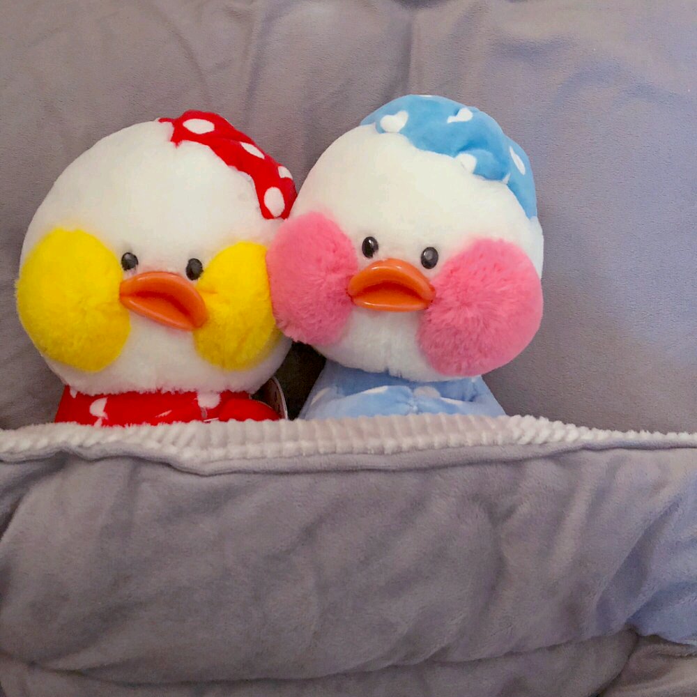 简洁清新风景静物微信朋友圈配图