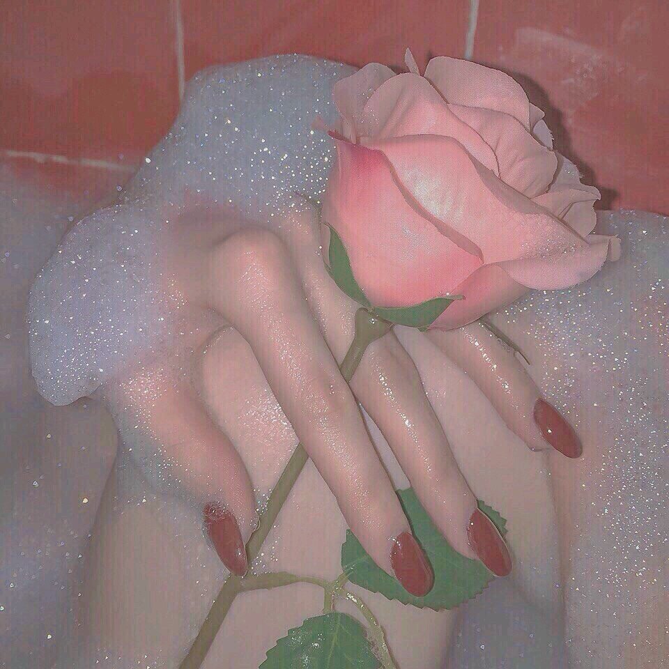 简洁清新风景静物微信朋友圈配图