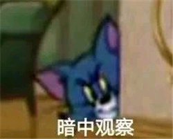 暗中观察恶搞群聊杂图表情包