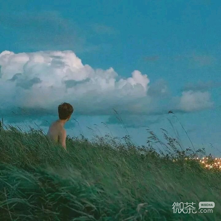 微信唯美梦幻风景静物朋友圈配图