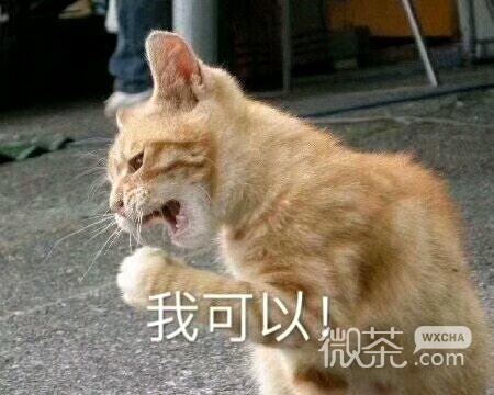 微信近期斗图恶搞表情包2019/8/15（二）