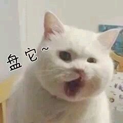 微信近期斗图恶搞表情包2019/8/15（二）