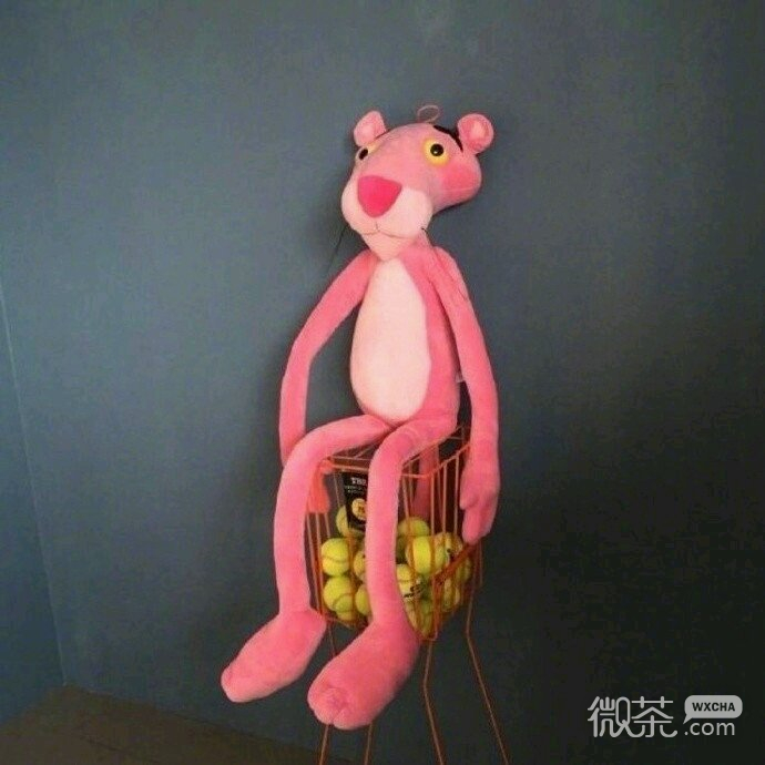 一切都是最好的安排微信恶搞斗图表情包