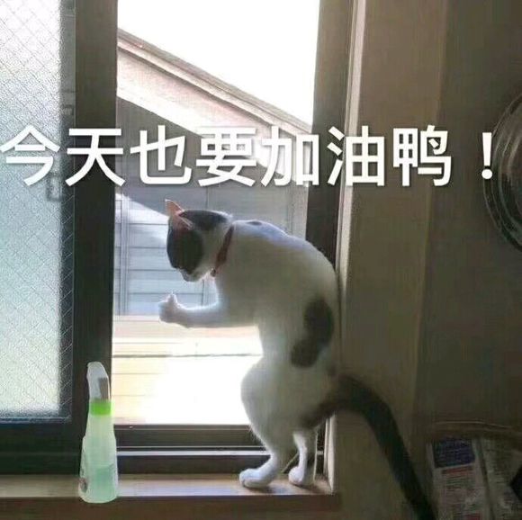 微信近期斗图恶搞表情包2019/8/15（二）