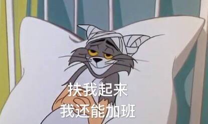 猫和老鼠系列微信爆笑表情包合集下载